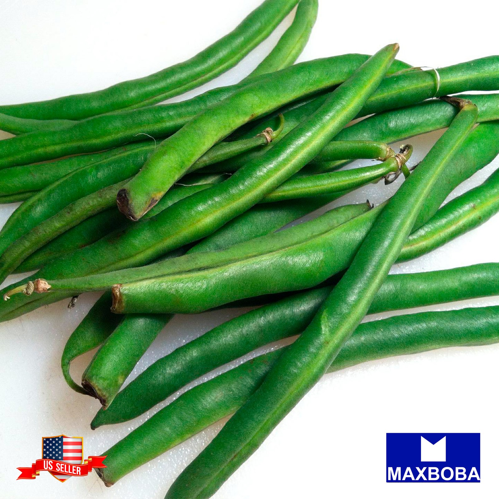 Premium Fresh 256 Seeds Bean Bush Jade Non-GMO Heirloom