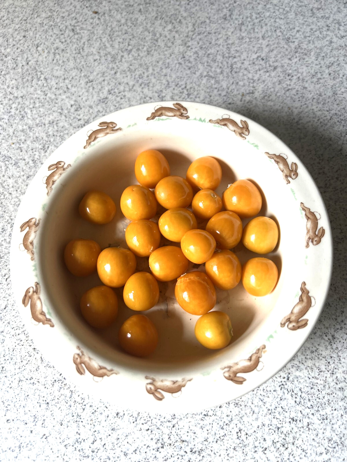 6 cuttings of Goldenberry ‘pineapple’, Physalis peruviana