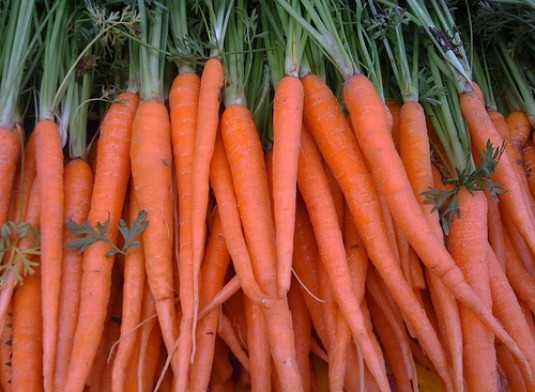 200 FRESH CARROT TENDERSWEET SEEDS FREE USA SHIPPING
