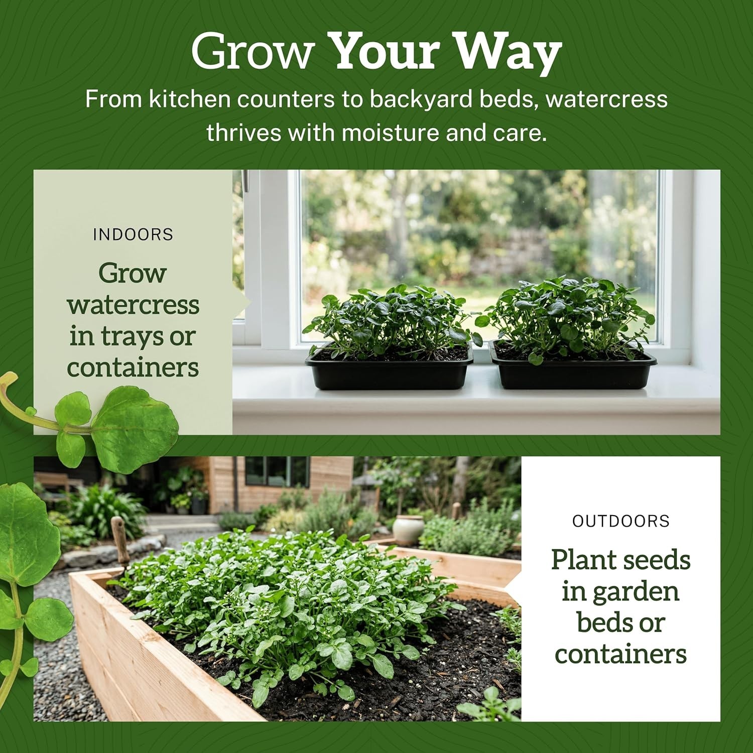 TKE Farms & Gardens – Watercress Seeds for Planting, 1500+ Non-GMO Heirloom Seed
