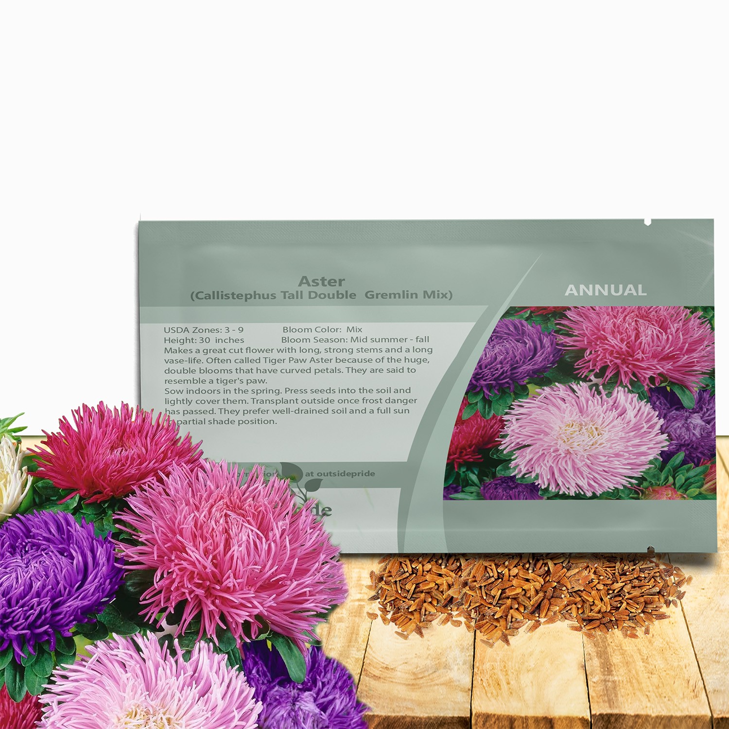 2000 Seeds Aster Seed – Aster Callistephus Gremlin Flower Seed Mix