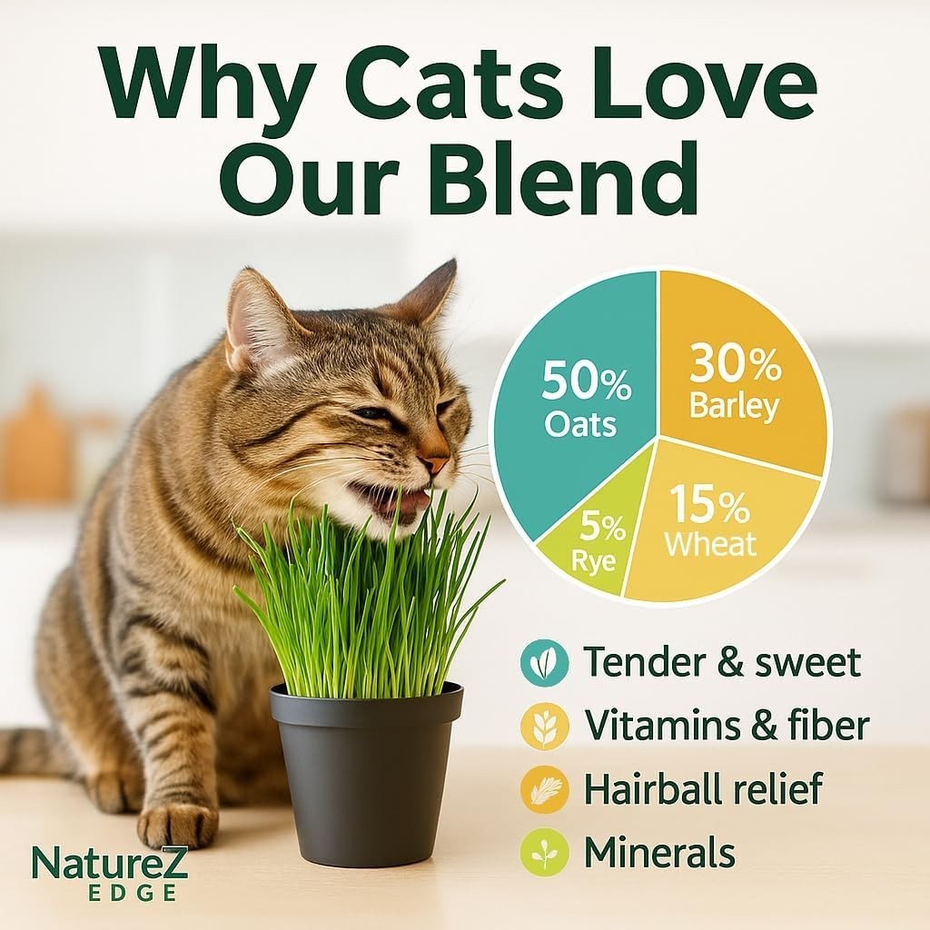 Natural Cat Grass Seeds for Indoor Cats – High Germination Oat, Wheat, Rye