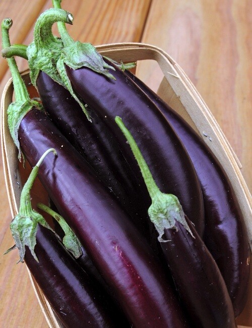 100+ Chinese Eggplant Long Purple Eggplants Aubergine Vegetable Seed, Cà Tím