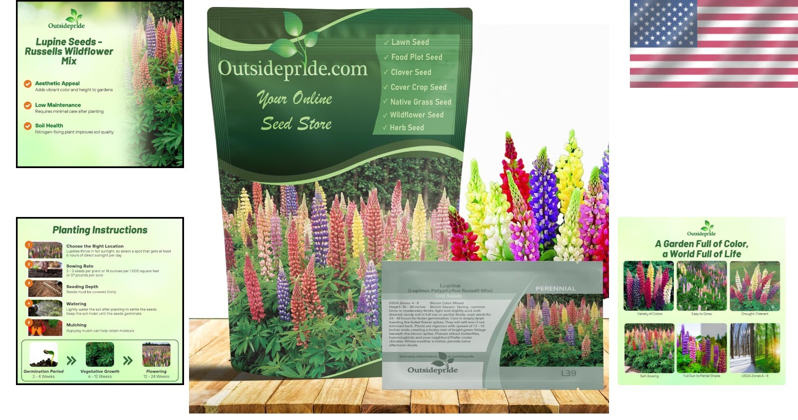 Perennial Wildflower Seeds – 1 Lb. Mixed Russell Lupines for Fall Planting