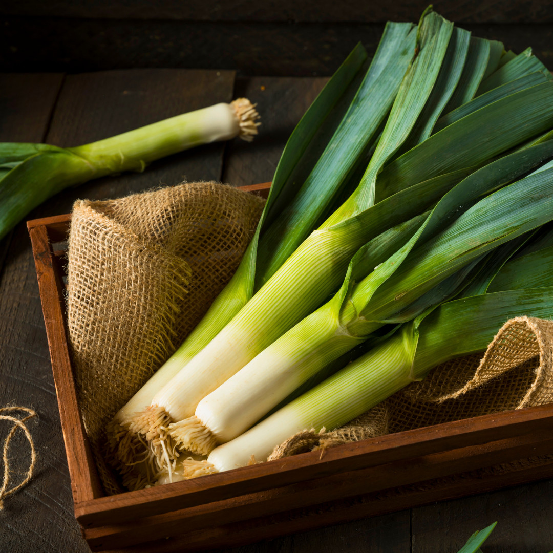 Fresh Premium American Flag Leek Seeds | Heirloom Non-GMO | Vegetable Seeds