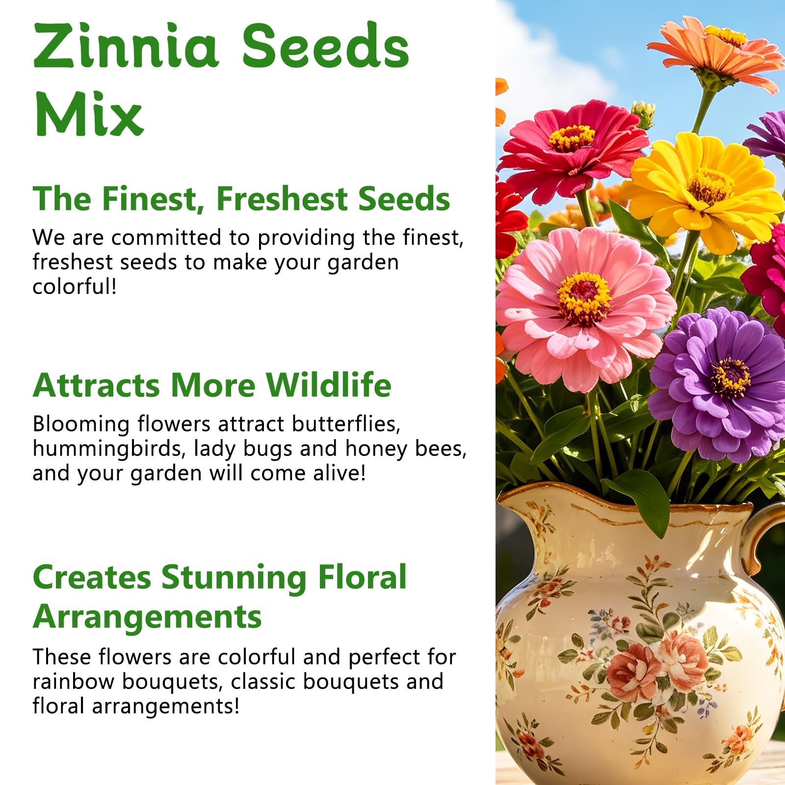 15,000+ Non-GMO California Giant Zinnia Seeds – Double Dahlia Mixed Colors for G