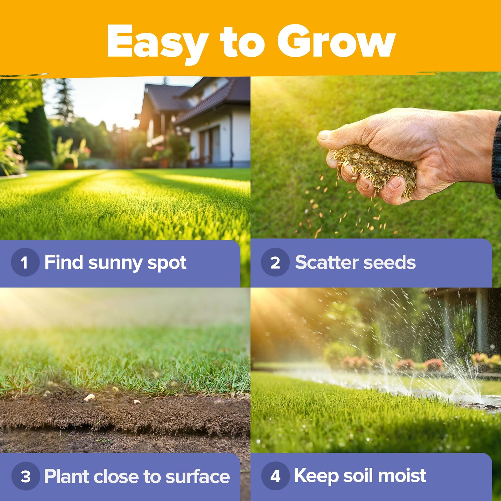 Wildflower Seeds Bulk 4 oz 63,200+ Seeds 19 Varieties Non-GMO Perennial Mix, …