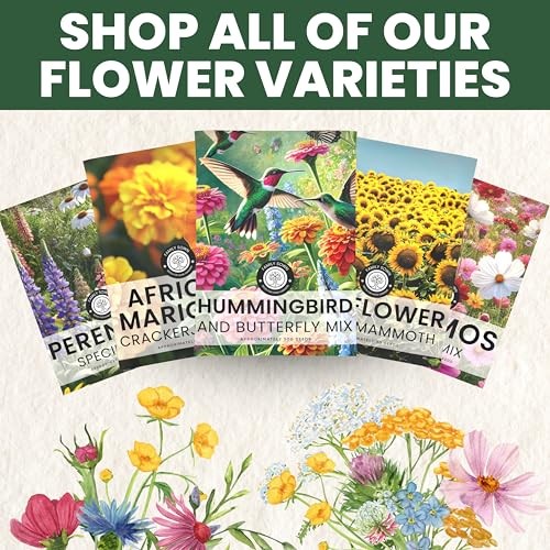 Hummingbird Butterfly Mix – Large 1 Ounce Large 1 Ounce Pouch (7,500 Seeds)