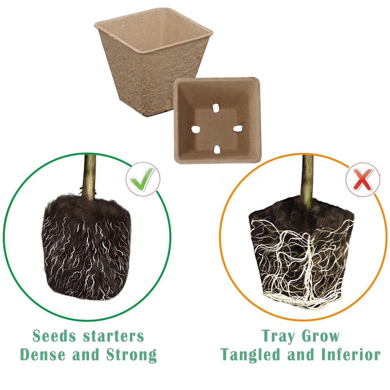 Taietc Seed Starter 9 inches (W) x 14.5 (L) x 4.5 (H), Black