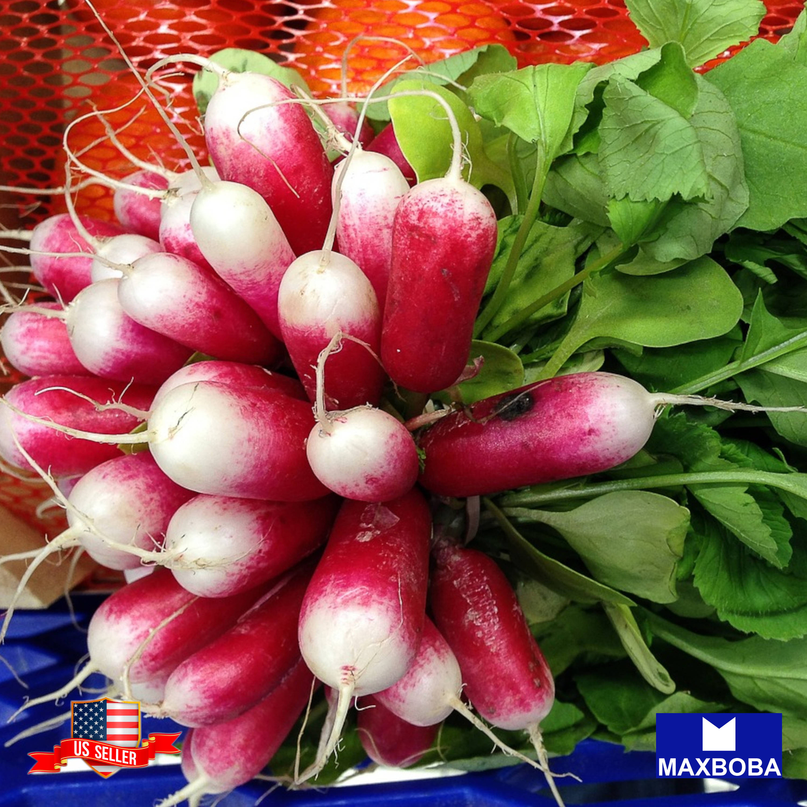 Fresh!!Radish Seeds – French Breakfast Non-GMO Heirloom Vegetable