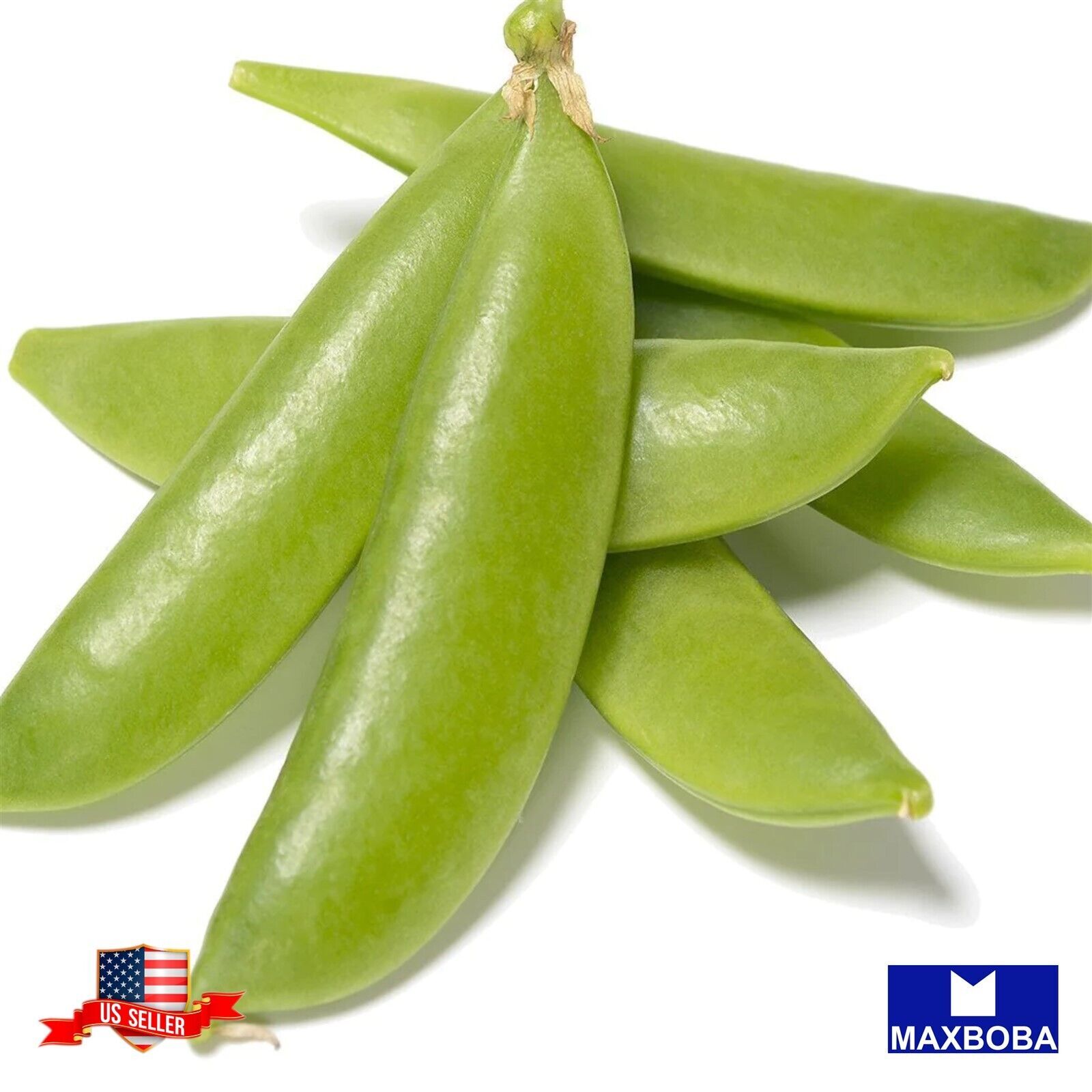 Pea Fresh Seeds – Snap – Sugar Daddy (Organic) Non-GMO Heirloom