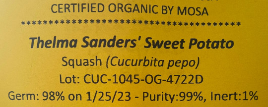 40 organic Thelma Sanders’ Sweet Potato winter squash seeds