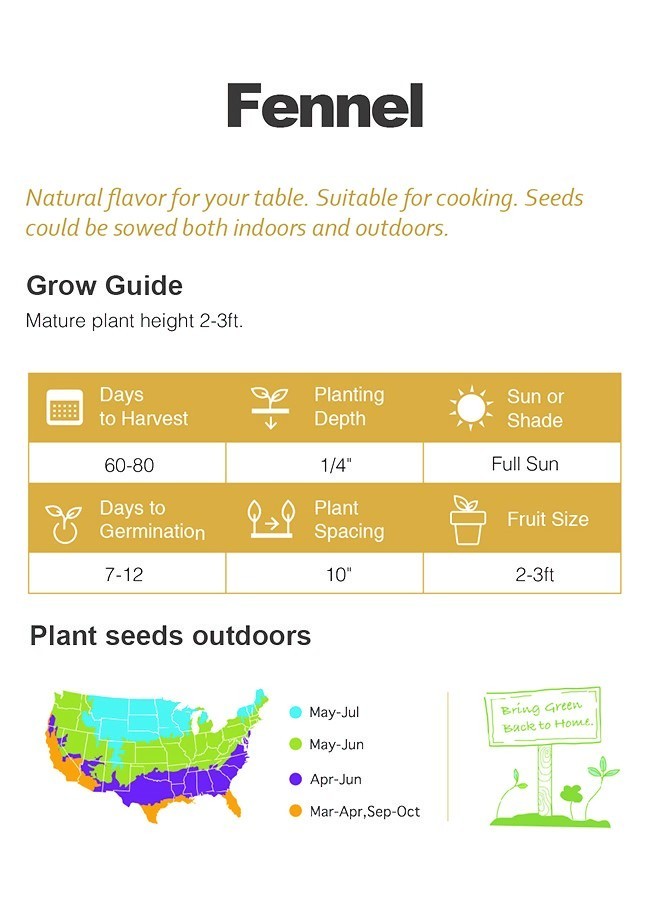 Fennel Seeds 400+ Non-GMO Sweet Aroma Herb Garden Culinary
