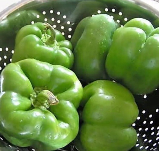 California Wonder Bell Pepper Seeds 150+ Sweet Vegetable NON-GMO FREE SHIPPING
