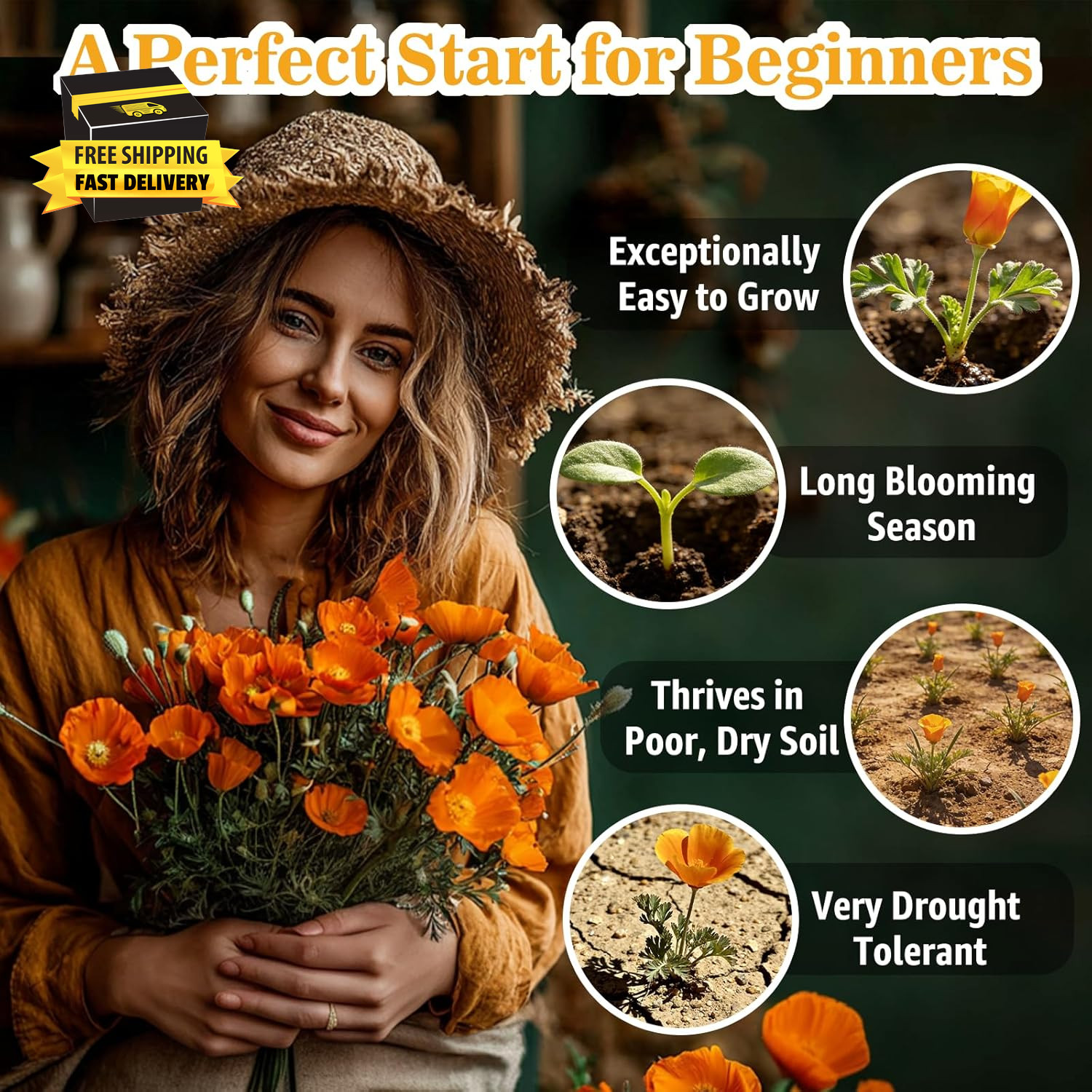 California Poppy Seeds (0.35Oz – 10,000+ Seeds) – Orange State Flower – Eschscho