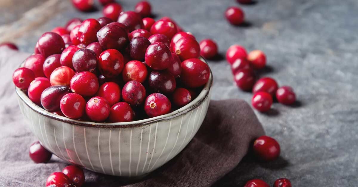 50 Cranberry Seeds Edible US Exotic NonGMO Organic Fruit Homegrown Native Medici