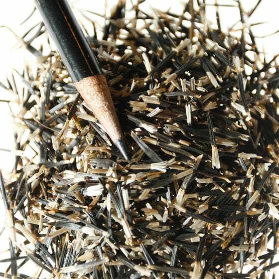 Marigold, African CRACKERJACK MIX Dia de los Muertos HEIRLOOM Non-GMO 250 Seeds!