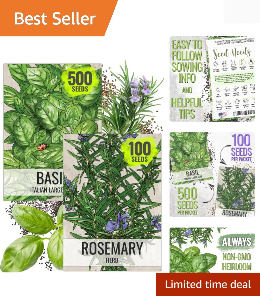 Rosemary Seeds & Basil Seeds for Planting Italian Herbs – Non-GMO Heirloom & …
