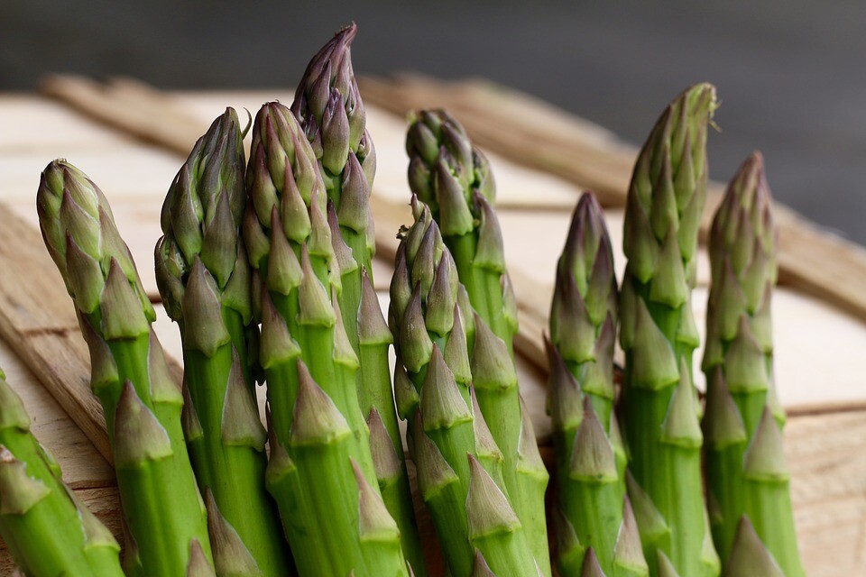 150 Mary Washington Asparagus Seeds – Non-GMO – Heirloom Asparagus