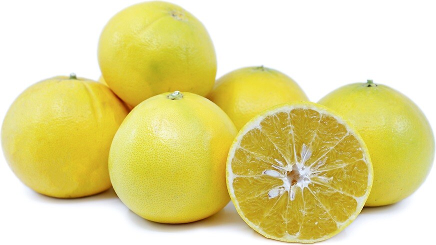California only!! Cocktail Grapefruit Semi-Dwarf Tree, 24-36″ tall, grafted