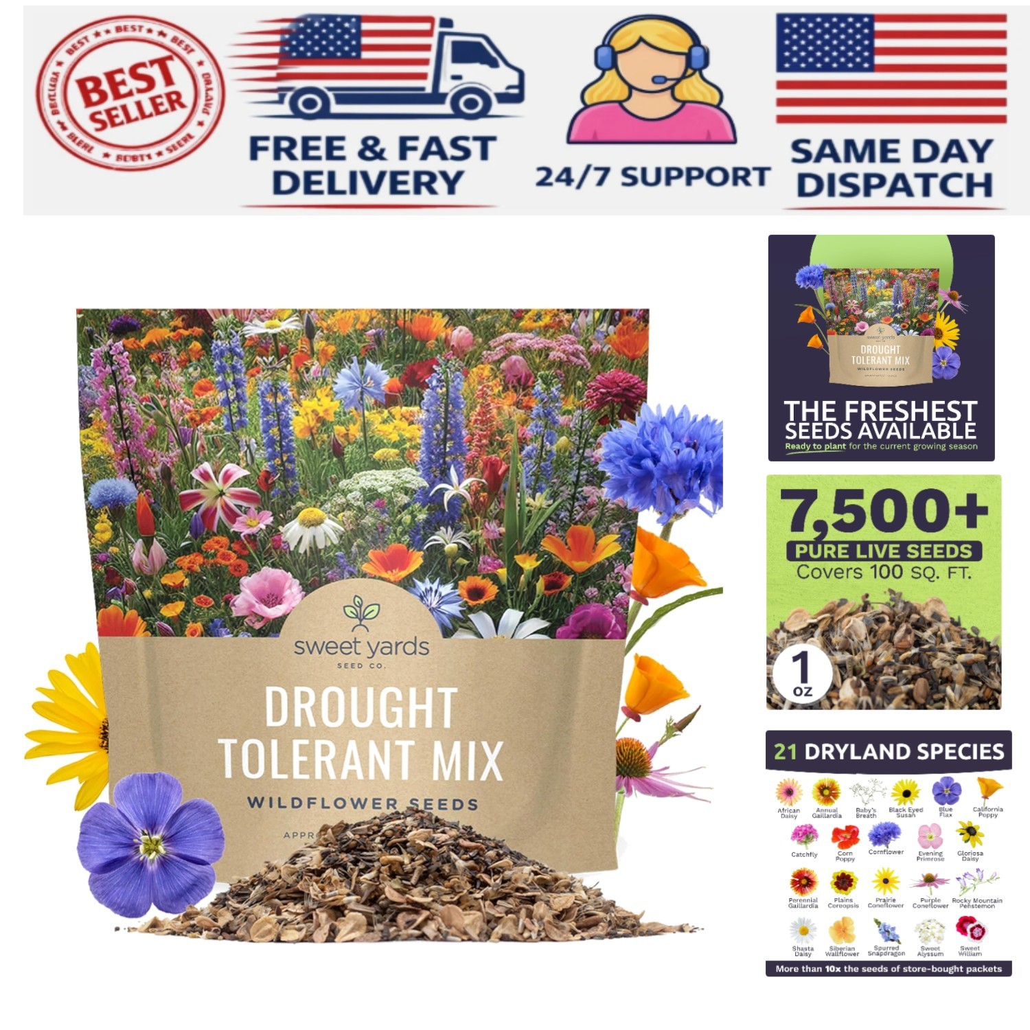 Extra Large Wildflower Seed Mix – Over 21 Species for Colorful Sustainability