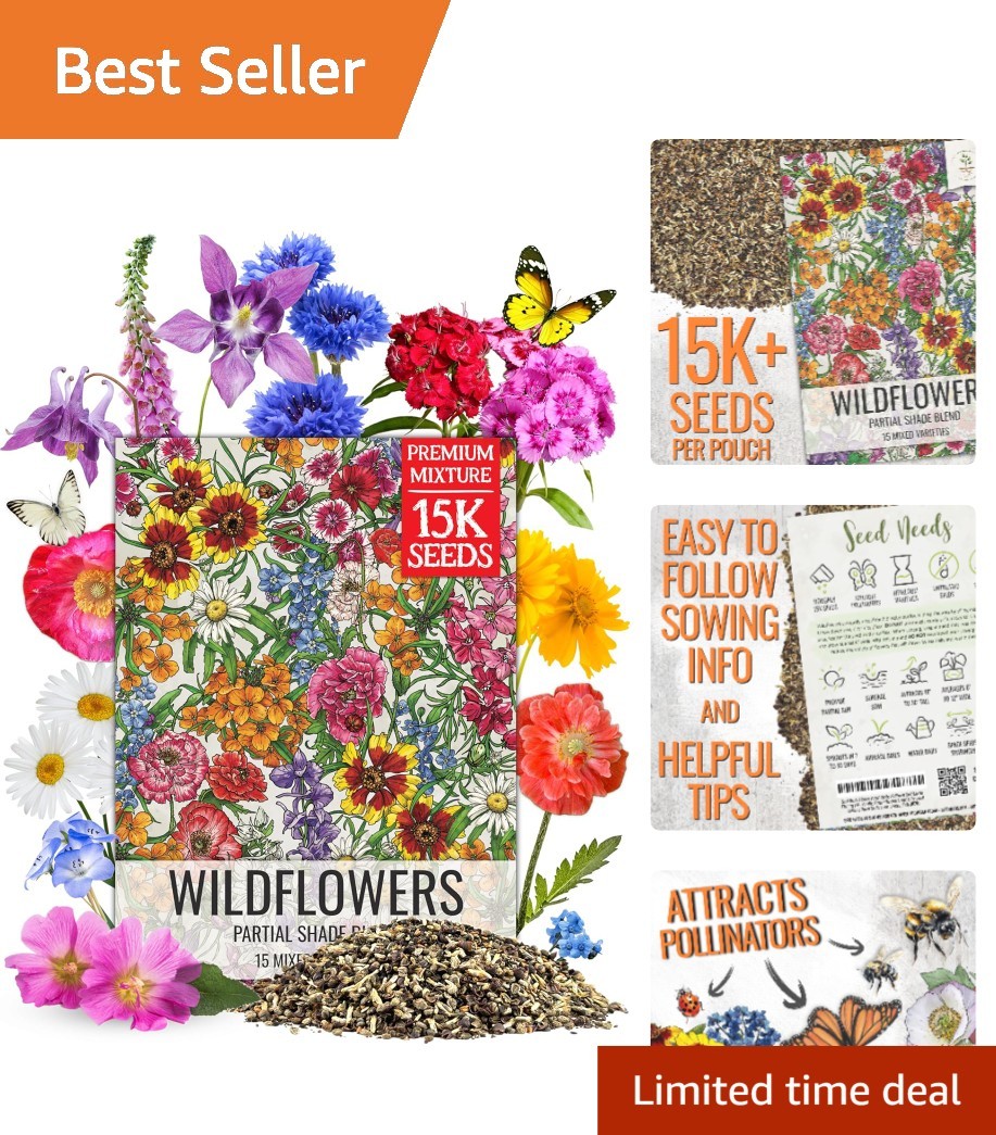Shade Tolerant Wildflower Seed Mix – 1 Ounce, 14+ Varieties For Vibrant Gardens