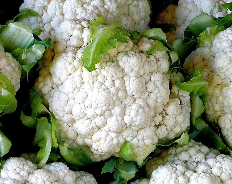 Cauliflower Seeds – Snowball Y Improved – Vegetable Seeds