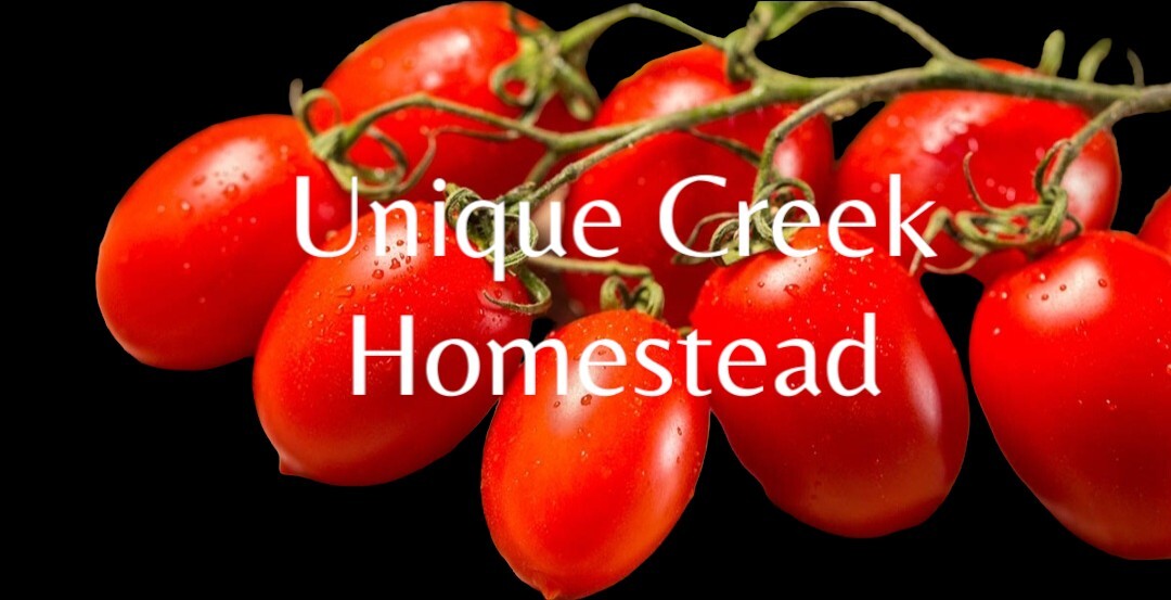GARDENERS SWEETHEART TOMATO Seeds Organically Grown Unique Creek Homestead