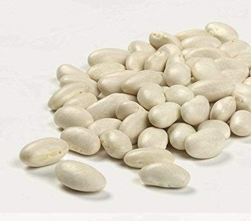 Camellia Brand Dried Great Northern Beans 1lb Pack of 12