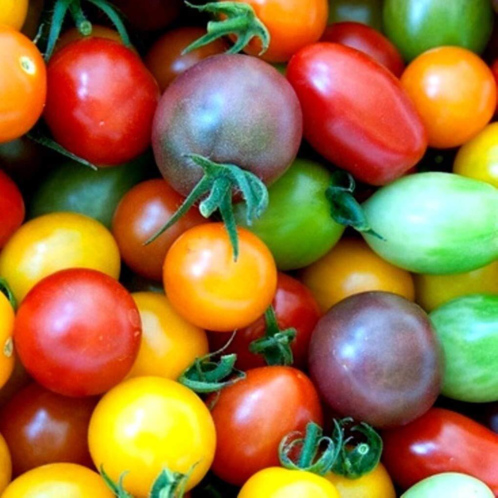 Rainbow Cherry Tomato Seeds for Planting – 100+ Seeds – Amazing Colors and Taste
