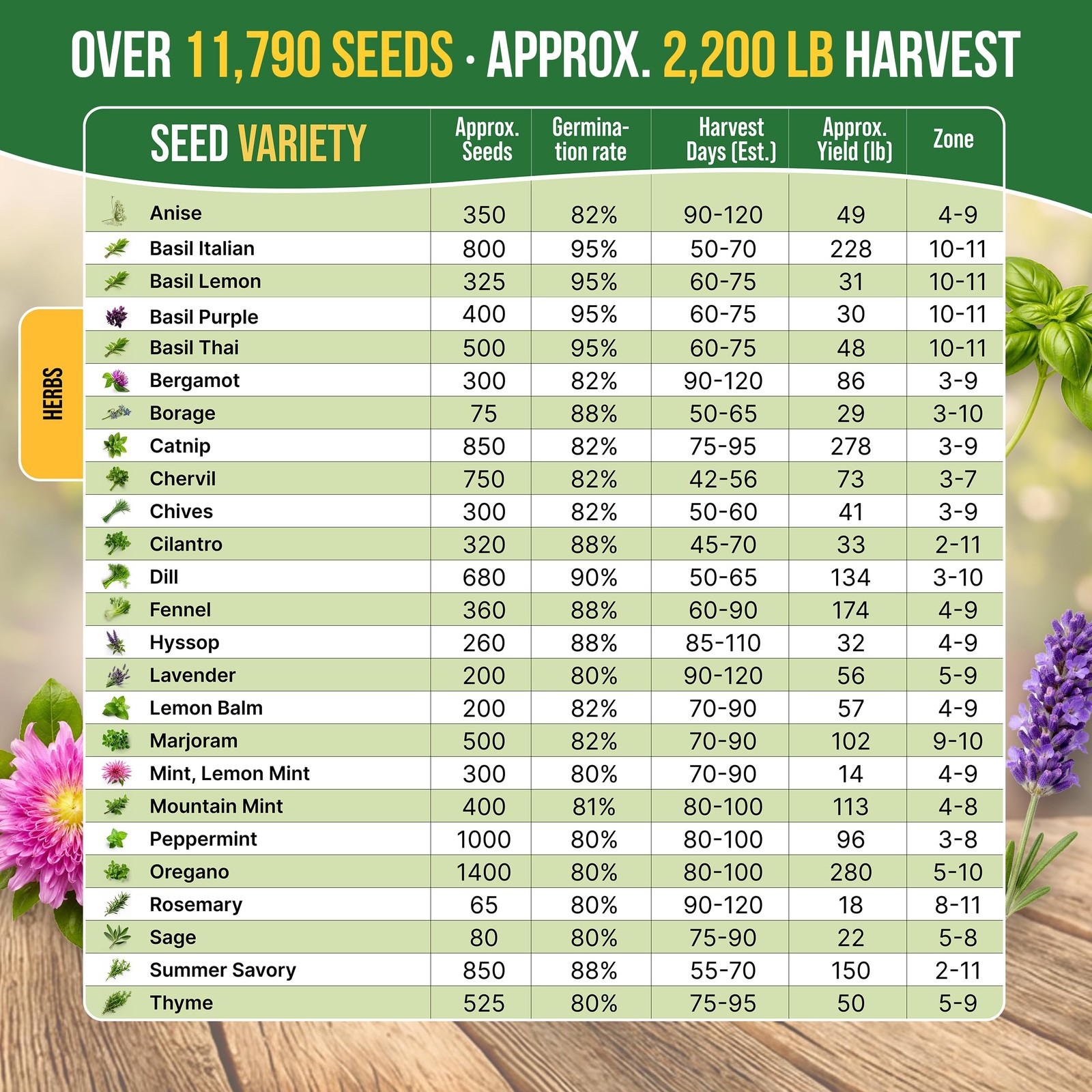 25 Most Popular Herb Seeds Variety Pack – 11,700 Non-GMO Heirloom Seeds for P…