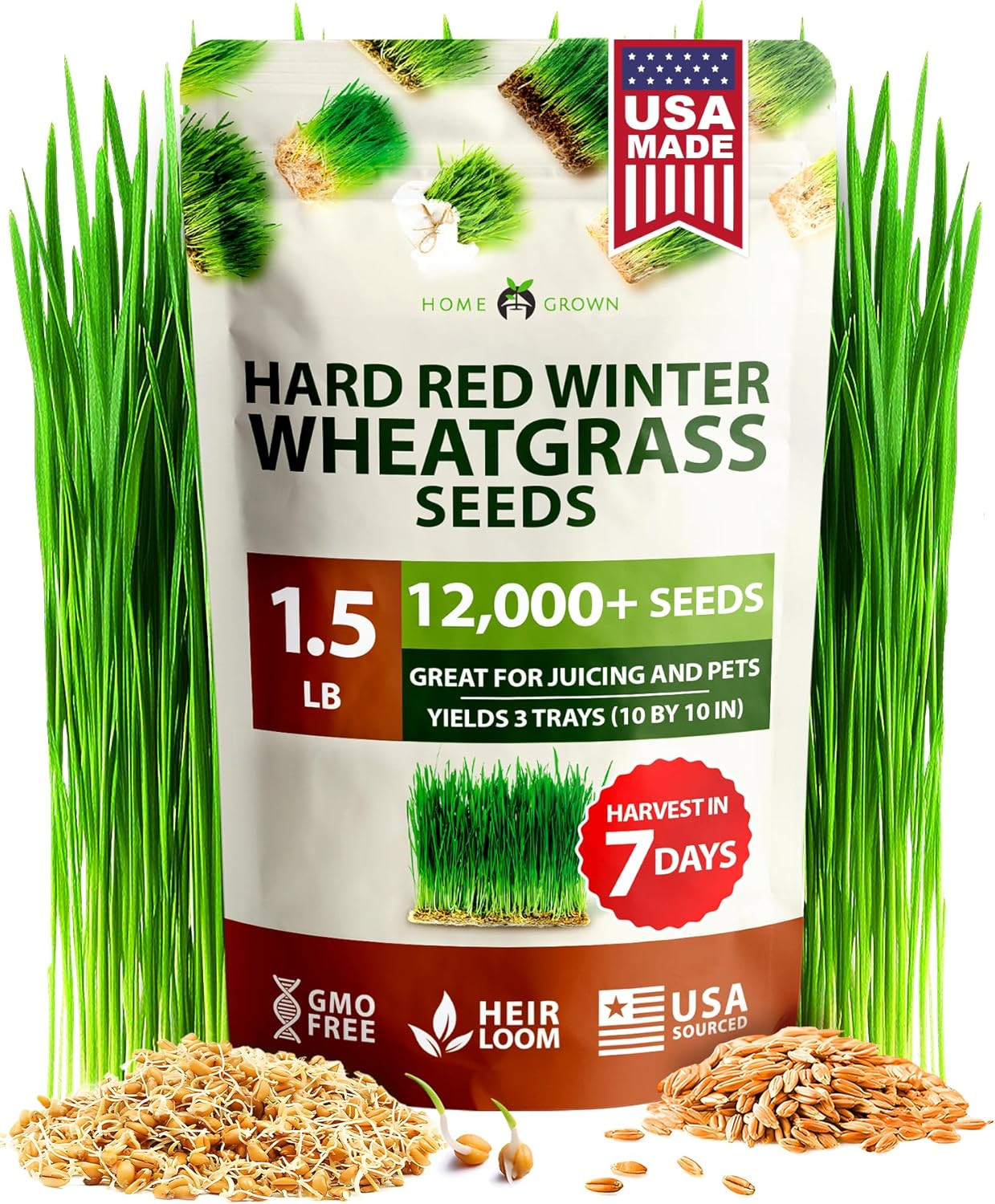 Hard Red Winter Wheatgrass Seeds 12,000+ Bulk 1.5 Lb Heirloom Non-Gmo, Sprouting