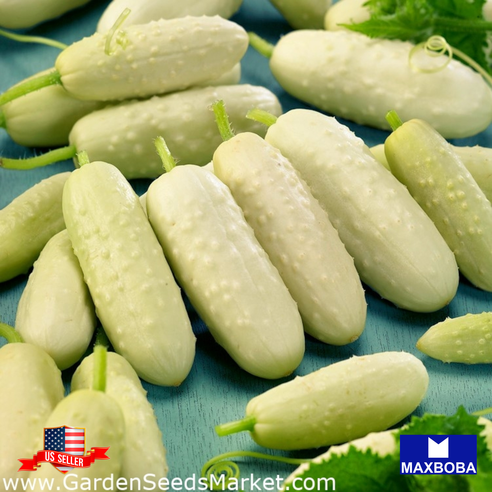 50 White Wonder Cucumber Seeds Non-GMO Heirloom BTGO 75% OFF