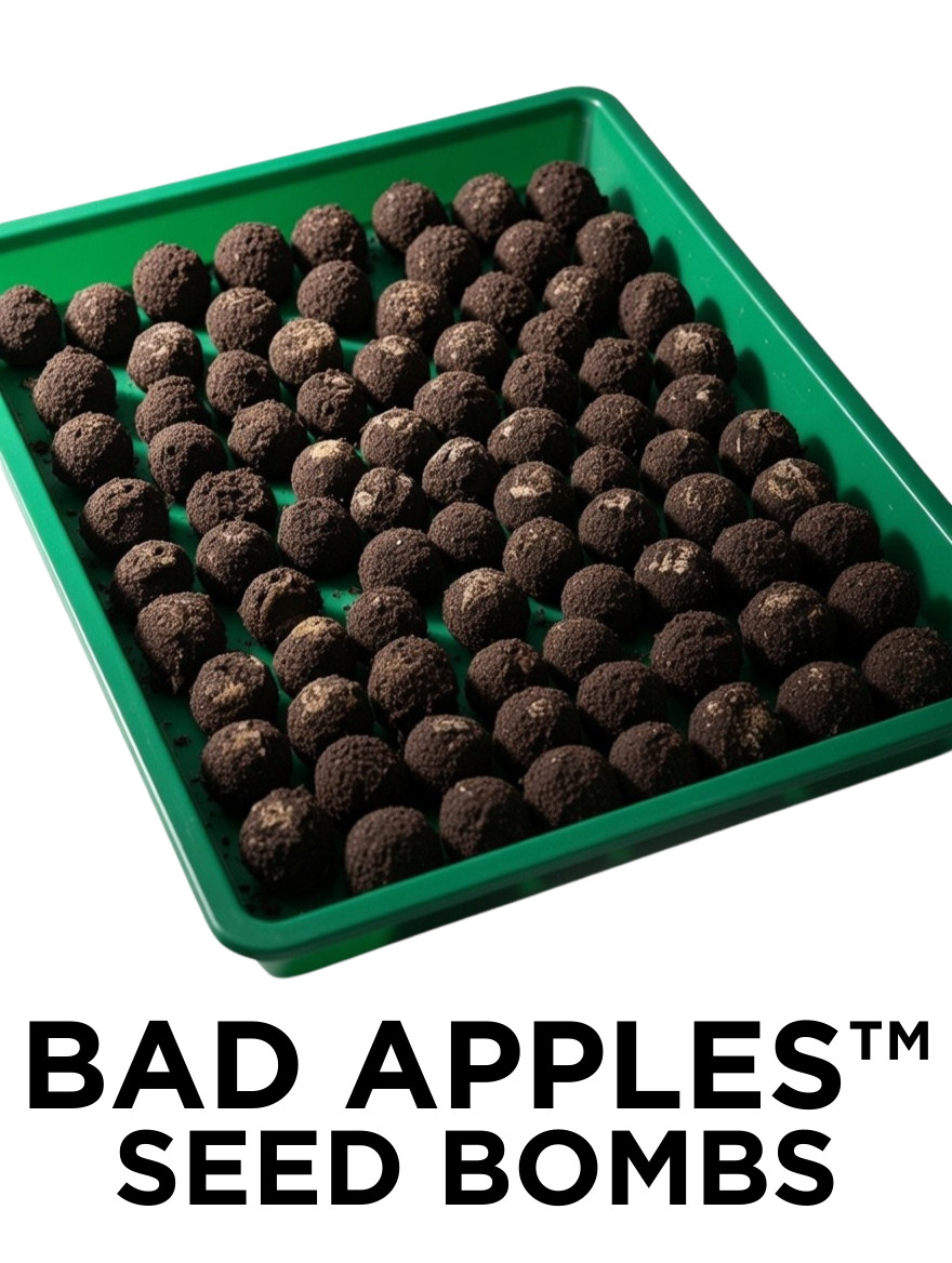 Bad Apples Wildflower Seed Bombs CELEBRATED SÜMMER™ 1 Acre – Native Flower Mix