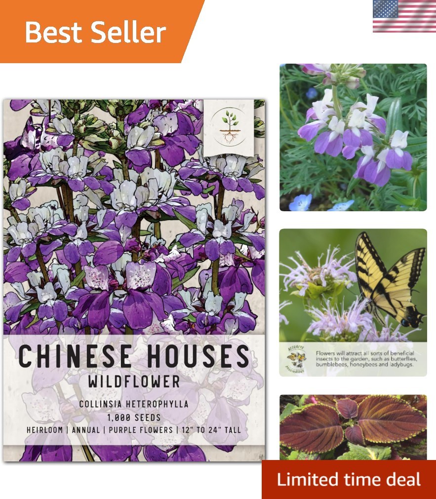 Chinese Houses Seeds – 1,000 Heirloom Seeds for Planting Collinsia heterophyl…