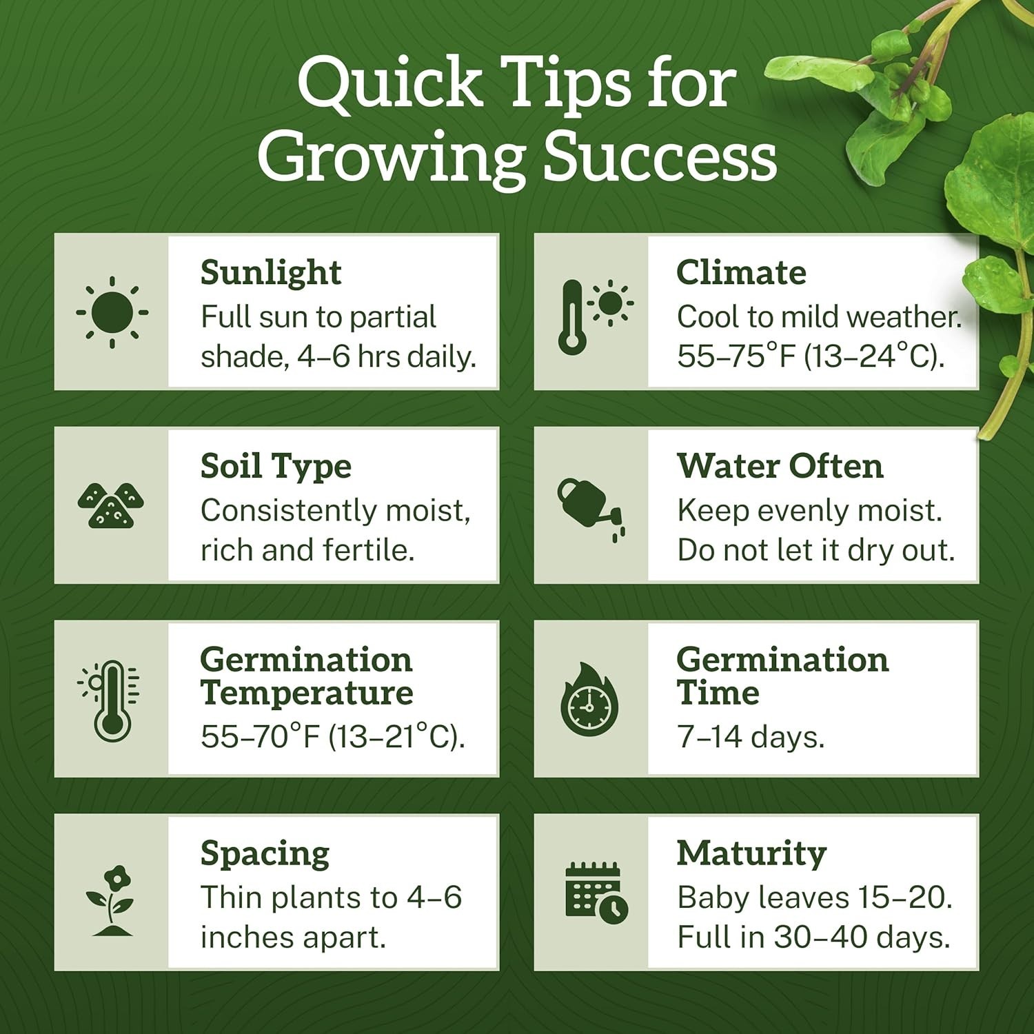 TKE Farms & Gardens – Watercress Seeds for Planting, 1500+ Non-GMO Heirloom Seed