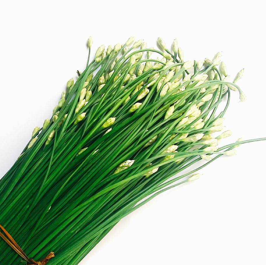 1 Gr (300 Seeds) Garlic Chives Flower Seeds for Plating, Leek Flowering Seeds