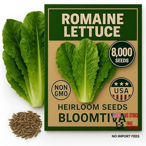 – Parris Island Cos, 8000+ Heirloom Non-GMO Seeds, High Romaine Lettuce Seeds