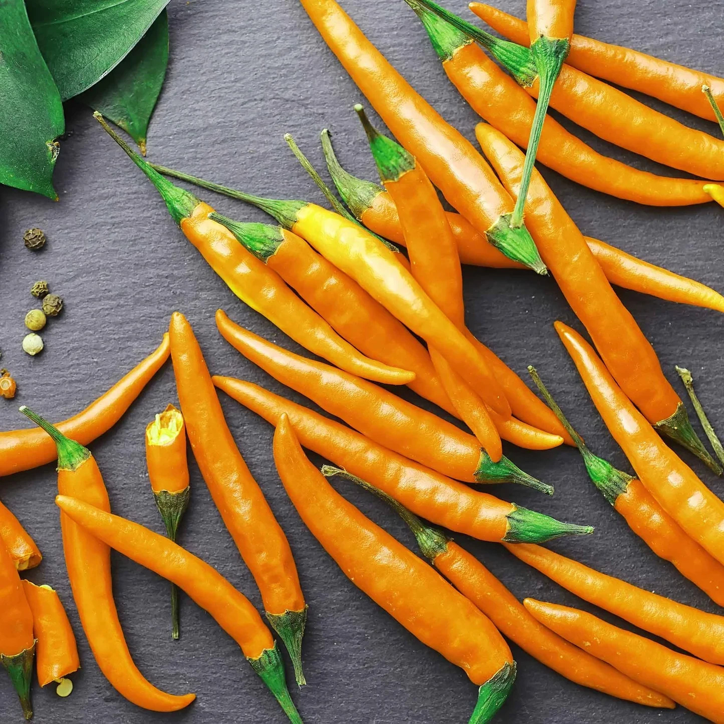 30+ ORANGE CAYENNE PEPPER SEEDS NON-GMO FRESH FOR YOUR GARDEN