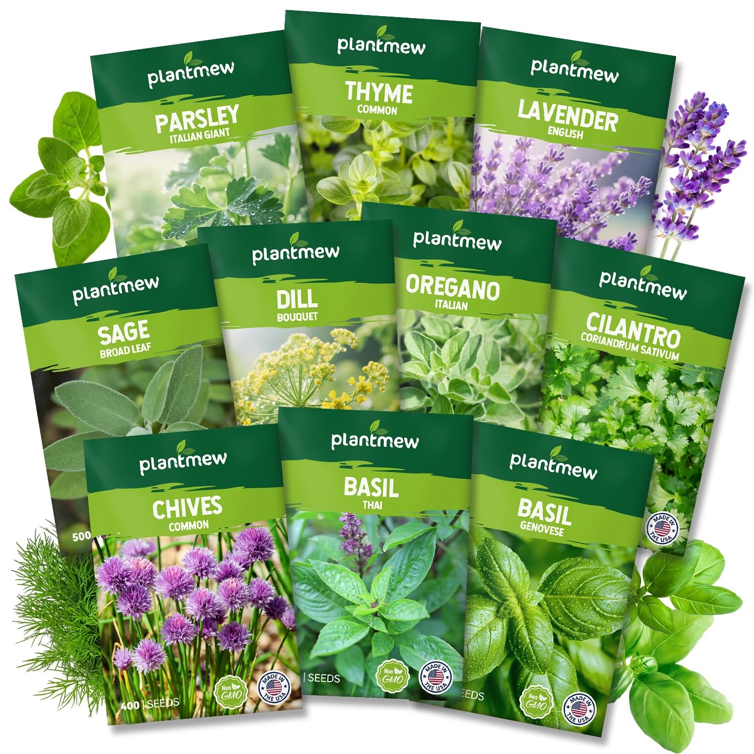 PLANTMEW 10 Herb Seeds Variety Pack – 7,000+ Heirloom Non-GMO 10
