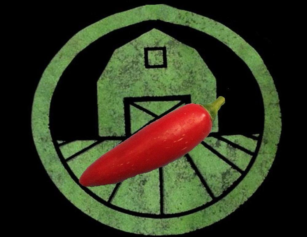 10+ Vegas Serrano Pepper Seeds- spicy chili, chile, great in salsa & hot sauce