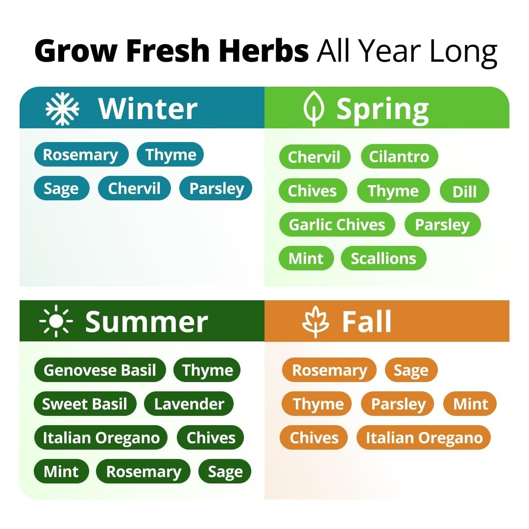 15-Pack Herb Seeds for Planting – 4,300+ Non-GMO Heirloom Seeds | Culinary Kit f