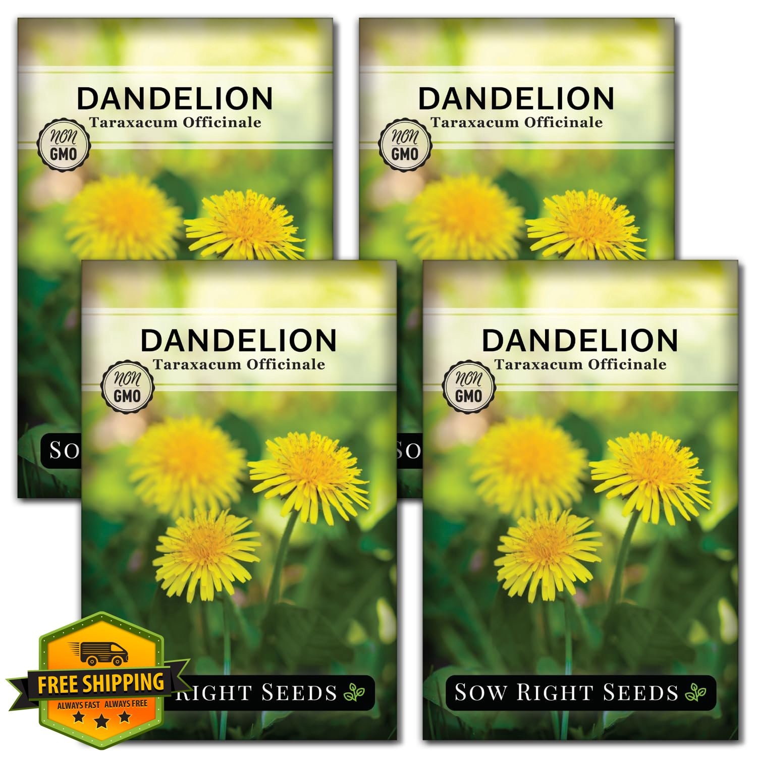 Sow Right Seeds Dandelion Seeds Packet 4