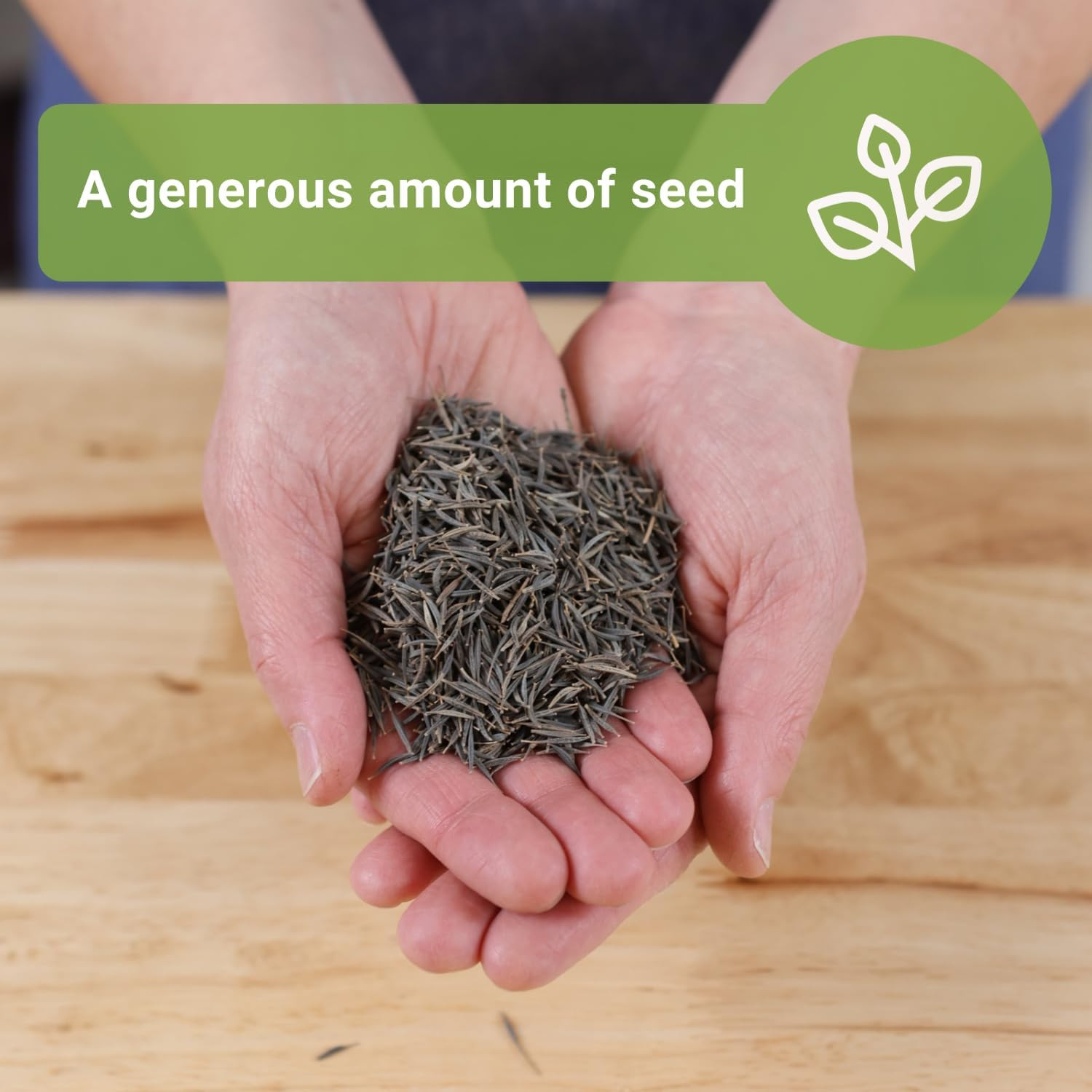 – Bulk Mixed Cosmos Seeds for Planting – 2 Ounce, 8500 Seeds – Non-Gmo Heirloom