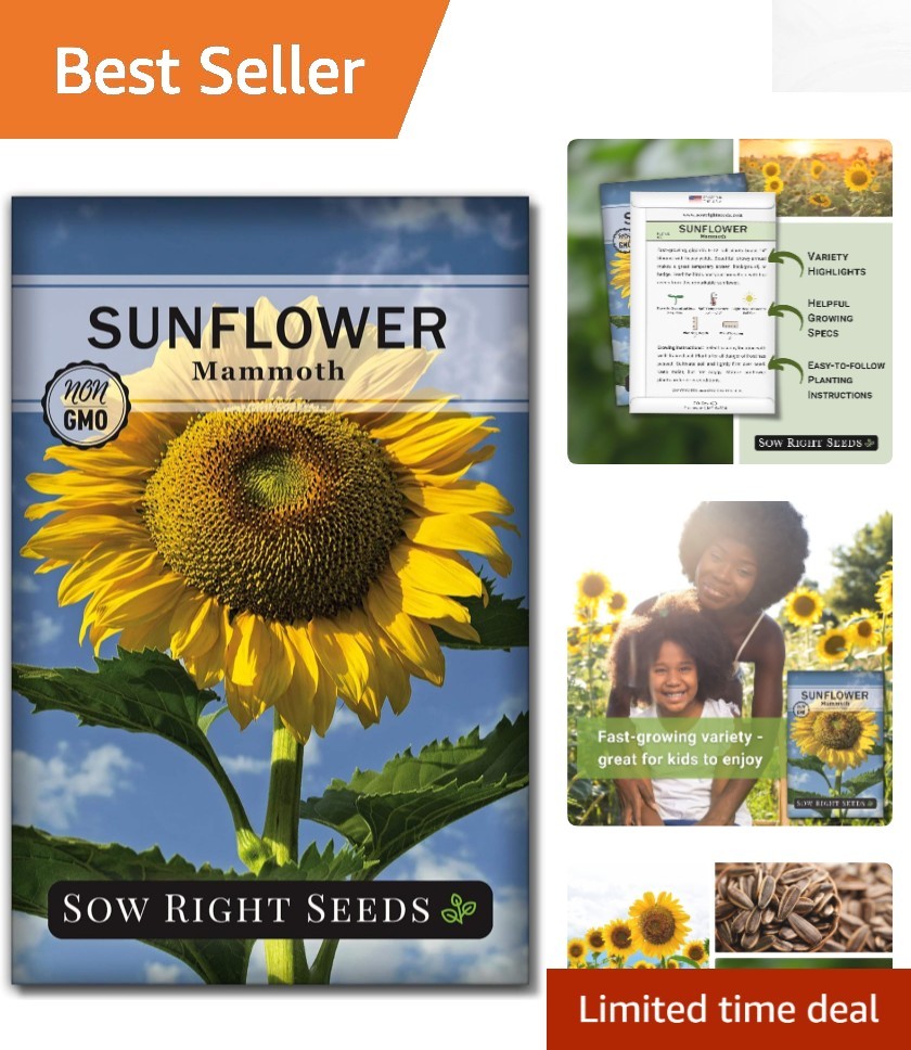 Plant Non-GMO Mammoth Sunflower Seeds – Ideal for Outdoor Gardens & Pollinators