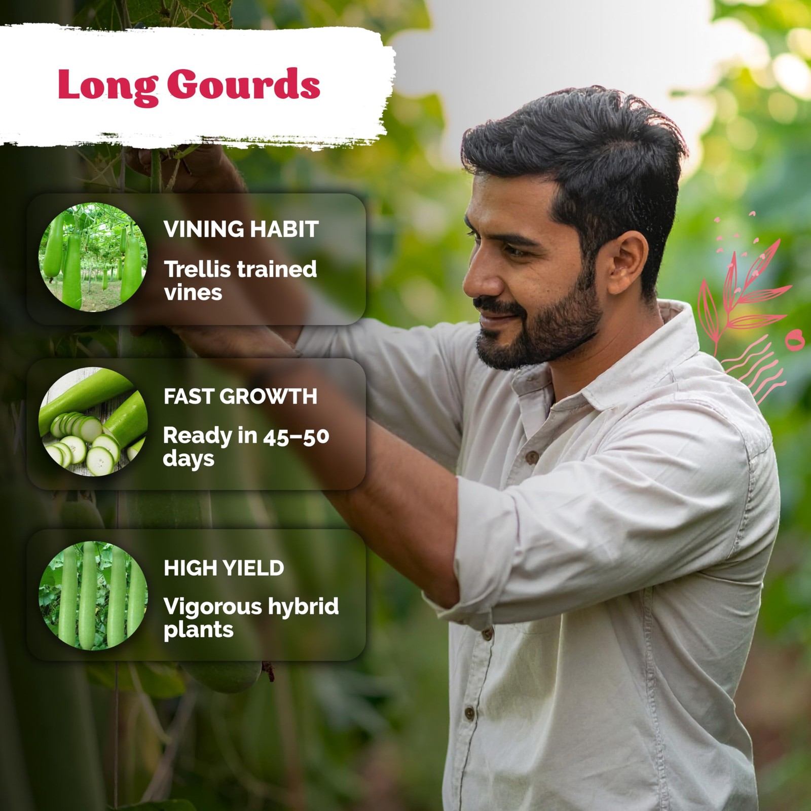 15 Nam Tao Ngam Gourd Seeds (Lagenaria siceraria) – Calabash Bottle Gourd See…