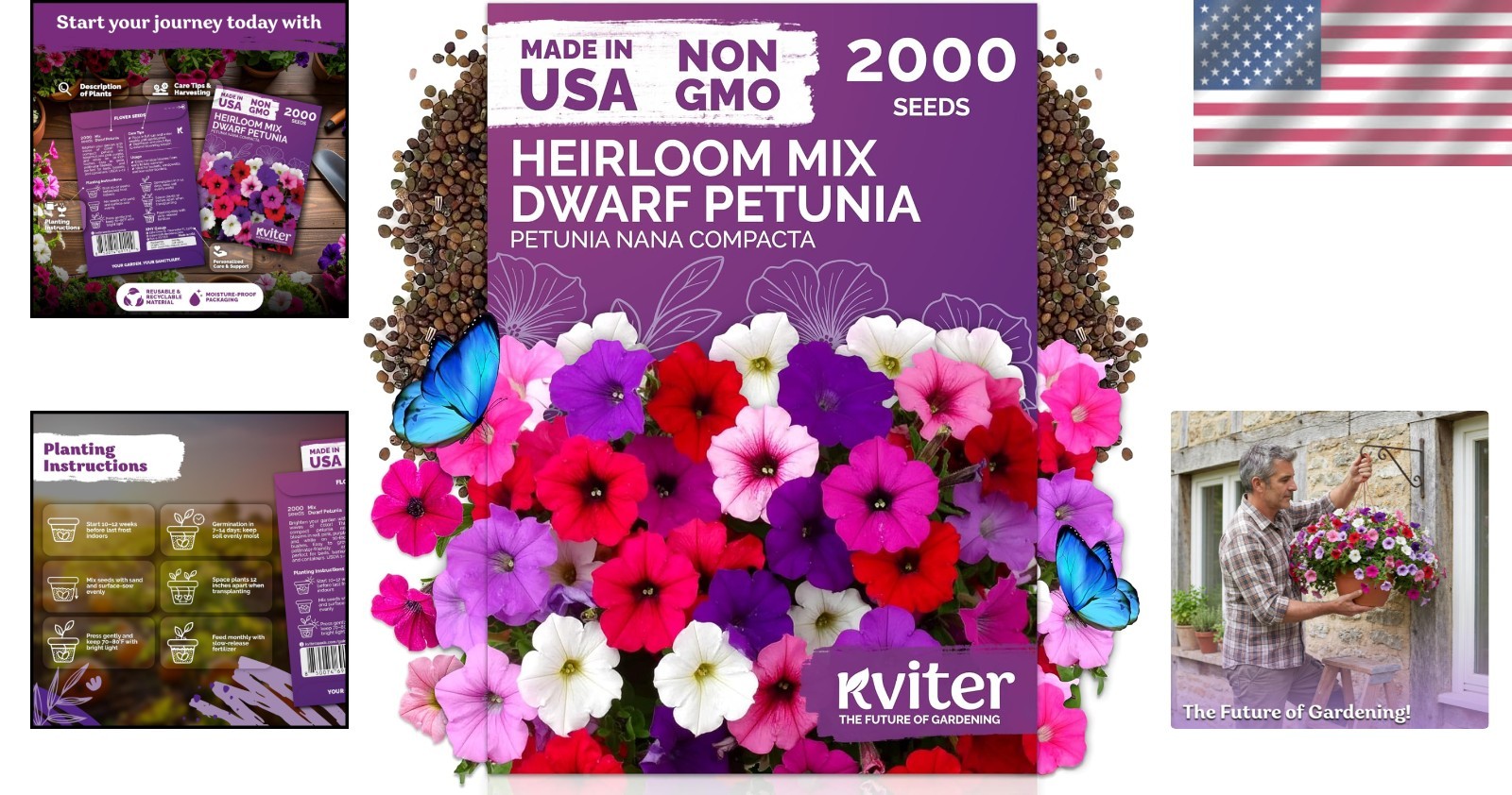 2,000 Dwarf Petunia Seeds Mix – Organic & Non-GMO for Vibrant Gardens