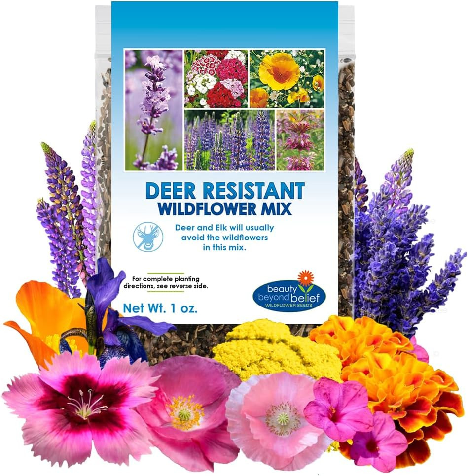 Deer Resistant Wildflower – 1Oz, Open-Pollinated Flower Seed Mix Packet, No Fil
