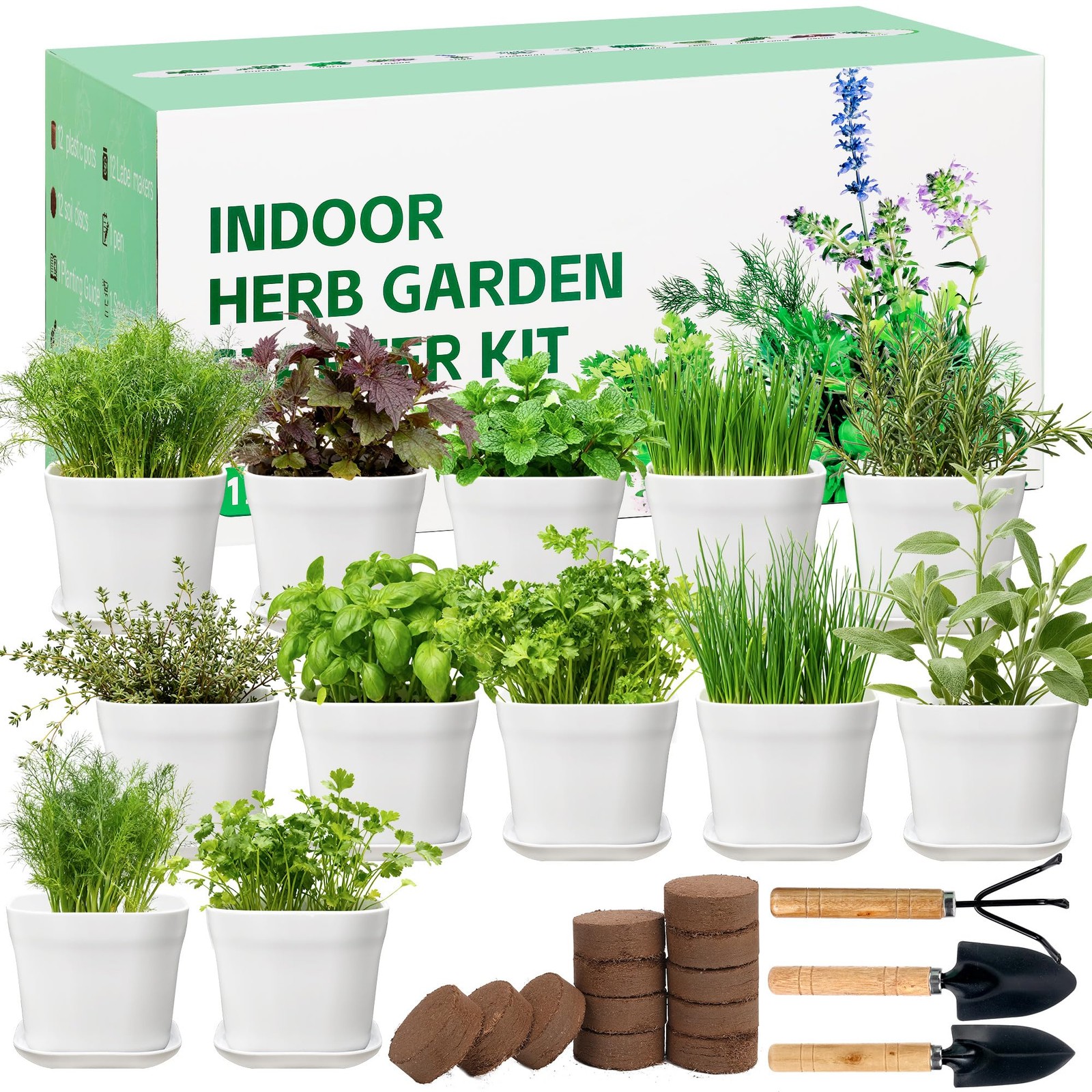 12 Herb Garden Kit Indoor – 42 Pcs Complete Kitchen Window Herbs Seeds Growin…