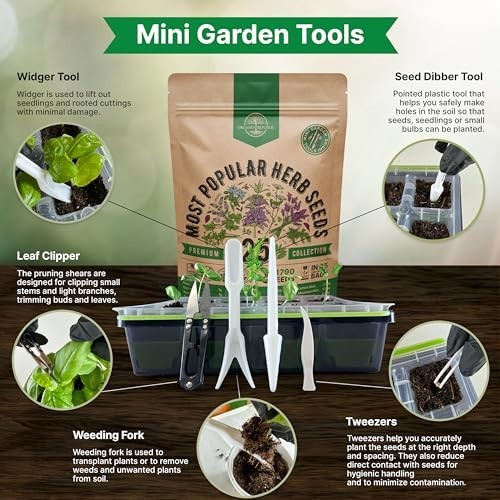 25 Herb Seeds Variety Pack – 11,700 Non-GMO Heirloom Seeds for Hydroponic & Indo